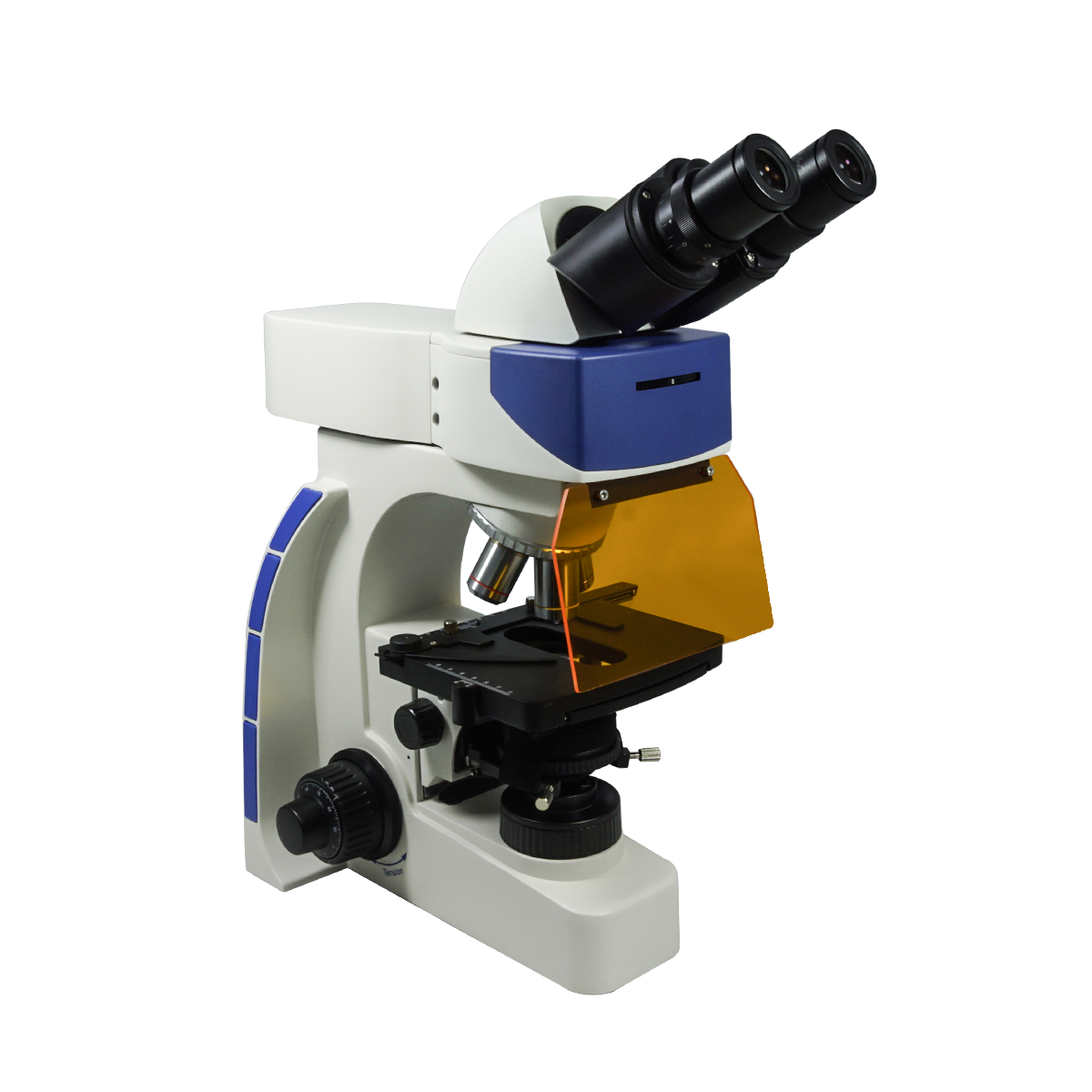 Fluorescence Microscope